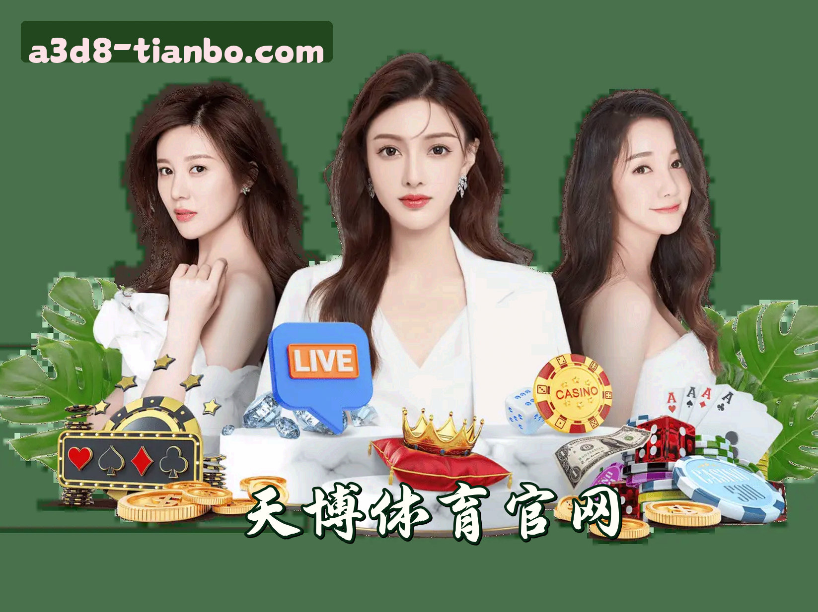 天博TB体育官方网站 · 极致赛事体验 · A3D8